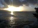 ./images/koeye/fitz-hugh/20201105/fitz-hugh20201105_163001.jpg