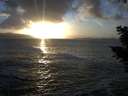 ./images/koeye/fitz-hugh/20201105/fitz-hugh20201105_163501.jpg