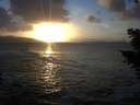 ./images/koeye/fitz-hugh/20201105/fitz-hugh20201105_164001.jpg