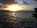 ./images/koeye/fitz-hugh/20201105/fitz-hugh20201105_164501.jpg