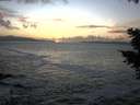 ./images/koeye/fitz-hugh/20201105/fitz-hugh20201105_165501.jpg