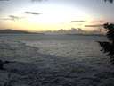 ./images/koeye/fitz-hugh/20201105/fitz-hugh20201105_170002.jpg