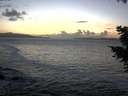 ./images/koeye/fitz-hugh/20201105/fitz-hugh20201105_171002.jpg