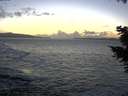 ./images/koeye/fitz-hugh/20201105/fitz-hugh20201105_171502.jpg