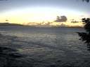 ./images/koeye/fitz-hugh/20201105/fitz-hugh20201105_173502.jpg