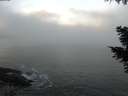 ./images/koeye/fitz-hugh/20201106/fitz-hugh20201106_080002.jpg