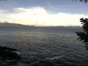 ./images/koeye/fitz-hugh/20201106/fitz-hugh20201106_100001.jpg