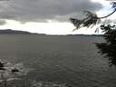 ./images/koeye/fitz-hugh/20201106/fitz-hugh20201106_140002.jpg
