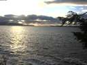 ./images/koeye/fitz-hugh/20201106/fitz-hugh20201106_160001.jpg