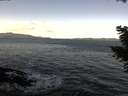 ./images/koeye/fitz-hugh/20201107/fitz-hugh20201107_100001.jpg