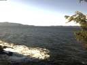 ./images/koeye/fitz-hugh/20201107/fitz-hugh20201107_120002.jpg