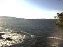 ./images/koeye/fitz-hugh/20201107/fitz-hugh20201107_140001.jpg