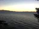 ./images/koeye/fitz-hugh/20201108/fitz-hugh20201108_080001.jpg