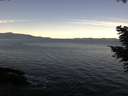 ./images/koeye/fitz-hugh/20201108/fitz-hugh20201108_100002.jpg