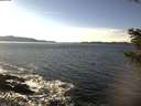 ./images/koeye/fitz-hugh/20201108/fitz-hugh20201108_140001.jpg