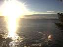 ./images/koeye/fitz-hugh/20201108/fitz-hugh20201108_160002.jpg