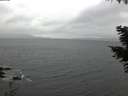 ./images/koeye/fitz-hugh/20201109/fitz-hugh20201109_080002.jpg