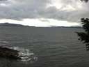 ./images/koeye/fitz-hugh/20201109/fitz-hugh20201109_140002.jpg