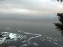 ./images/koeye/fitz-hugh/20201110/fitz-hugh20201110_080002.jpg