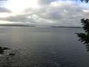 ./images/koeye/fitz-hugh/20201110/fitz-hugh20201110_100001.jpg