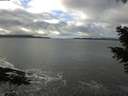 ./images/koeye/fitz-hugh/20201110/fitz-hugh20201110_120002.jpg
