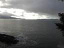 ./images/koeye/fitz-hugh/20201110/fitz-hugh20201110_140002.jpg