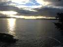 ./images/koeye/fitz-hugh/20201110/fitz-hugh20201110_160001.jpg