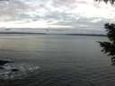 ./images/koeye/fitz-hugh/20201111/fitz-hugh20201111_080002.jpg
