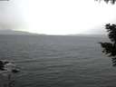 ./images/koeye/fitz-hugh/20201112/fitz-hugh20201112_080001.jpg