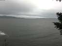 ./images/koeye/fitz-hugh/20201112/fitz-hugh20201112_100002.jpg