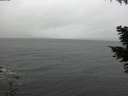 ./images/koeye/fitz-hugh/20201112/fitz-hugh20201112_120002.jpg
