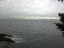 ./images/koeye/fitz-hugh/20201112/fitz-hugh20201112_140001.jpg