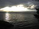 ./images/koeye/fitz-hugh/20201112/fitz-hugh20201112_160002.jpg