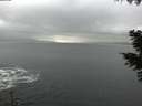 ./images/koeye/fitz-hugh/20201113/fitz-hugh20201113_100002.jpg