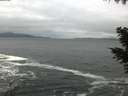 ./images/koeye/fitz-hugh/20201114/fitz-hugh20201114_100002.jpg