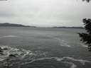 ./images/koeye/fitz-hugh/20201114/fitz-hugh20201114_140002.jpg