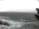 ./images/koeye/fitz-hugh/20201115/fitz-hugh20201115_080002.jpg