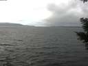 ./images/koeye/fitz-hugh/20201115/fitz-hugh20201115_115501.jpg