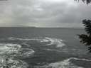 ./images/koeye/fitz-hugh/20201115/fitz-hugh20201115_140002.jpg