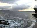 ./images/koeye/fitz-hugh/20201115/fitz-hugh20201115_160002.jpg