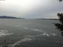 ./images/koeye/fitz-hugh/20201116/fitz-hugh20201116_123503.jpg
