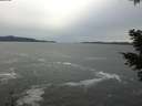 ./images/koeye/fitz-hugh/20201116/fitz-hugh20201116_124001.jpg