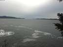 ./images/koeye/fitz-hugh/20201116/fitz-hugh20201116_124501.jpg