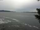 ./images/koeye/fitz-hugh/20201116/fitz-hugh20201116_125501.jpg