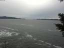 ./images/koeye/fitz-hugh/20201116/fitz-hugh20201116_130001.jpg