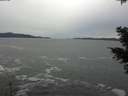 ./images/koeye/fitz-hugh/20201116/fitz-hugh20201116_130501.jpg