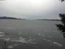 ./images/koeye/fitz-hugh/20201116/fitz-hugh20201116_131001.jpg