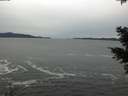 ./images/koeye/fitz-hugh/20201116/fitz-hugh20201116_131501.jpg