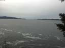 ./images/koeye/fitz-hugh/20201116/fitz-hugh20201116_132501.jpg