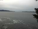 ./images/koeye/fitz-hugh/20201116/fitz-hugh20201116_133002.jpg